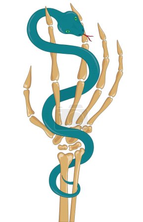 Téléchargez les illustrations : Petit serpent bleu entrelacé squelette rond main vecteur illustration - en licence libre de droit