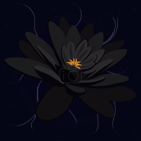 Black water lily artistic vector illustration
