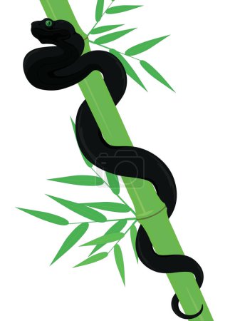 Black snake on green bamboo stem composition illustration