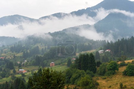 Green hills around Vacha dam, Rhodope Mountains, Región de Plovdiv, Bulgaria.