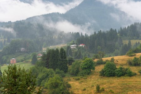 Green hills around Vacha dam, Rhodope Mountains, Plovdiv Region, Bulgaria.
