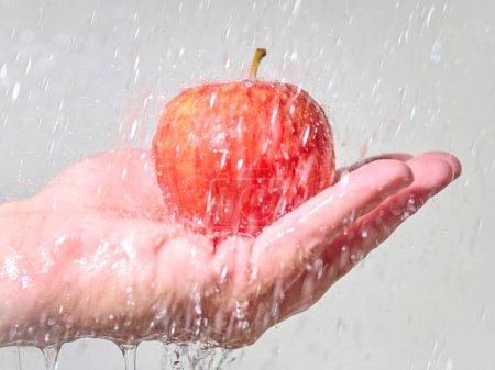 Foto de Una manzana roja en una mano bajo la lluvia - Imagen libre de derechos