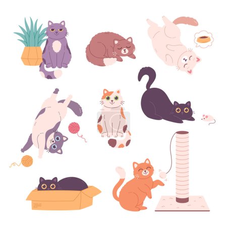 Cute cat characters collection. Cats doing various feline activities, playing, sleeping, lying, sitting. Vector illustration