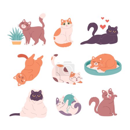 Illustration for Cute cat characters collection. Cats doing various feline activities, playing, sleeping, lying, sitting. Vector illustration - Royalty Free Image