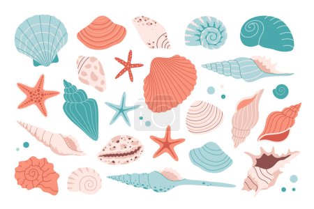 Collection of sea shells, mollusks, starfish, sea snails. Tropical beach shells. Vector illustration in flat style
