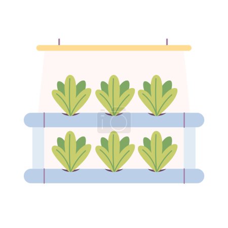 Tecnología hidropónica para el cultivo de plantas. La agricultura vertical. Granja inteligente. Ilustración vectorial en estilo plano