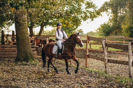 Eine junge schöne Jockeyspielerin bereitet sich auf einen Springwettbewerb vor. Eine Reiterin reitet auf einem braunen Rennpferd. Jockeys reiten auf einem Pferd.