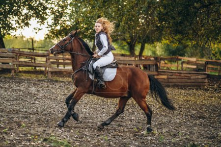 Photo for A young beautiful woman jockey is preparing for a show jumping competition. A woman rider rides a brown racehorse. Woman jockey rides a horse. - Royalty Free Image