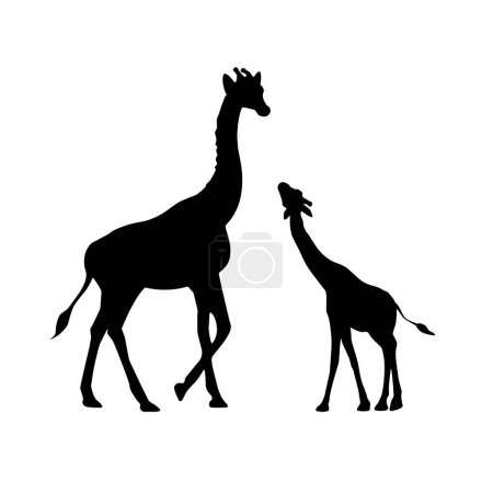 silhouette giraffe vector. two giraffes mother and calf vector silhou