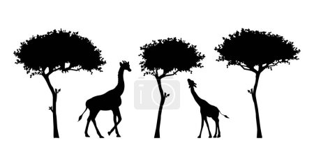 jirafas y árboles vector silueta