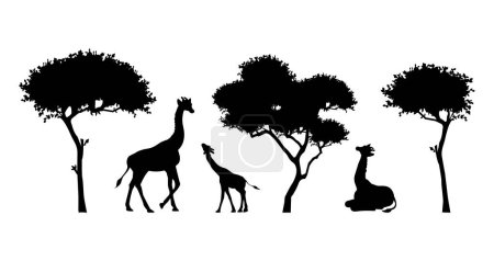 silueta de jirafas y árboles vector