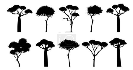 Silhouettenbäume der afrikanischen Savanne Vektorset. Verdrehte Akazien- und Baobabs-Vektorsilhouetten-Kollektion