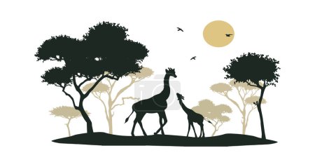 giraffes and african savannah vector silhouette