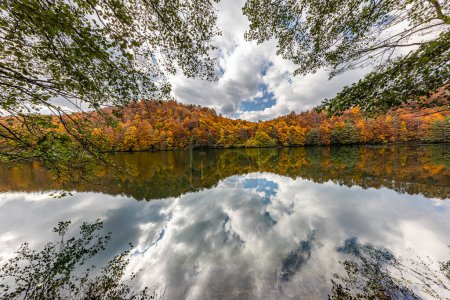 Foto de En otoño Reflexiones Lago Ulugol Ordu Turquía. Una hermosa escena de Big Lake (Ulugol) que se encuentra en la ciudad de Ordu, Turquía. - Imagen libre de derechos