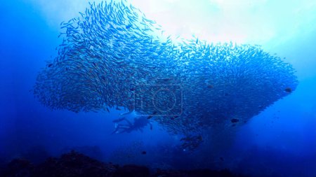 Foto de Foto submarina de una enorme escuela de peces (Yellow Snappers) en un arrecife de coral. - Imagen libre de derechos