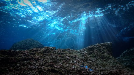 Téléchargez les photos : Artistic underwater photo of magic landscape in rays of sunlight. - en image libre de droit