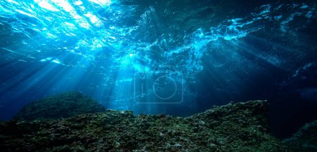 Photo for Artistic underwater photo of magic landscape in rays of sunlight. - Royalty Free Image