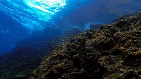 Foto de Fotografía artística submarina de rayos de luz solar sobre un arrecife - Imagen libre de derechos