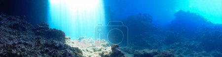 Téléchargez les photos : Artistic underwater panaroma photography of rays of sunlight inside a cave - en image libre de droit
