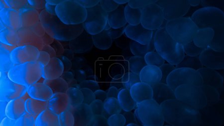 Téléchargez les photos : Macrophotographie sous-marine de l'intérieur d'un corail à bulles - en image libre de droit