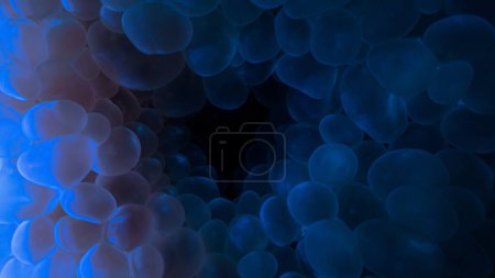Téléchargez les photos : Macrophotographie sous-marine de l'intérieur d'un corail bulle doux - en image libre de droit