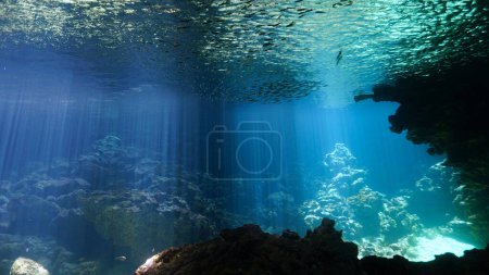 Foto de Foto artística submarina de paisaje mágico en una cueva con rayos de luz solar - Imagen libre de derechos
