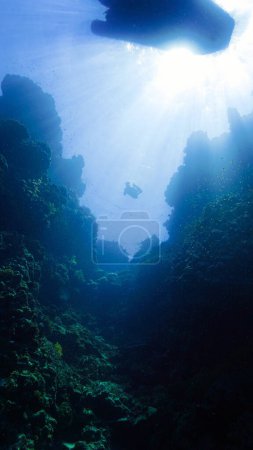 Foto de Foto submarina de un buceador libre nadando en rayos de luz solar. - Imagen libre de derechos