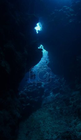 Photo for Artistic underwater photo of magic landscape in a cave with rays of sunlight - Royalty Free Image