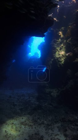 Téléchargez les photos : Photo sous-marine de lumière du soleil magique dans une grotte. - en image libre de droit