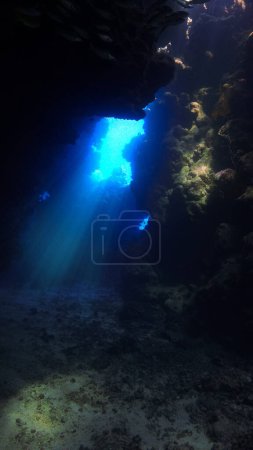 Téléchargez les photos : Photo sous-marine de lumière du soleil magique dans une grotte. - en image libre de droit