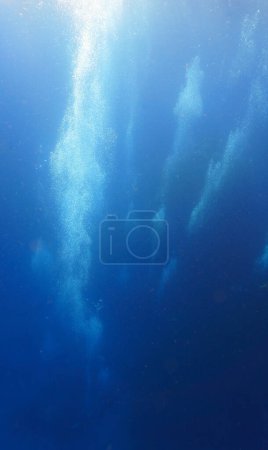 Foto de The underwater world and universe of scuba divers - Imagen libre de derechos