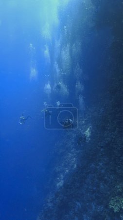 Foto de The underwater world and universe of scuba divers - Imagen libre de derechos