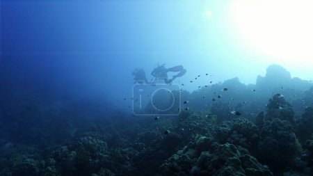 Téléchargez les photos : Silhouette de plongeur sous-marin sous les rayons du soleil. Photo sous-marine d'une plongée sous-marine. - en image libre de droit