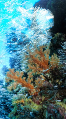 Téléchargez les photos : Photo sous-marine et artistique de coraux mous d'une manière floue avec des cristaux - en image libre de droit