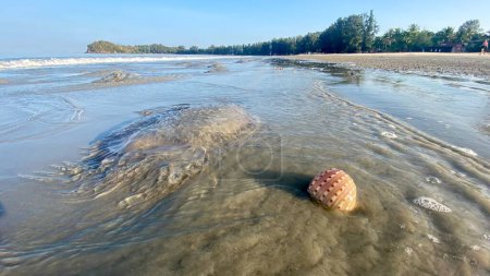  Jellyfish invasion and sea pollution at a beach in april in the south of Thailand