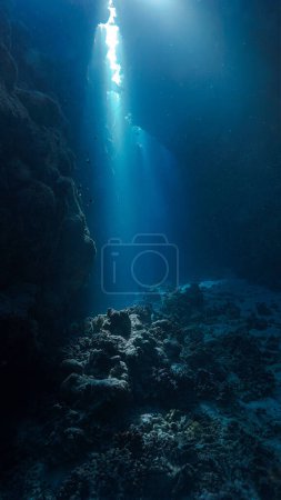 Téléchargez les photos : Photo sous-marine de la lumière du soleil magique et du Saint Graal dans une grotte - en image libre de droit