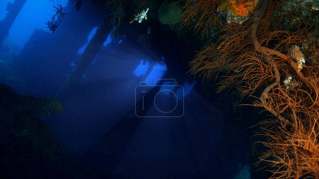 Foto de Spooky Foto submarina del naufragio USS Liberty en Tulamben, Bali, Indonesia. - Imagen libre de derechos