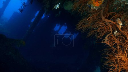 Photo for Spooky Underwater photo from the shipwreck USS Liberty in Tulamben, Bali, Indonesia. - Royalty Free Image