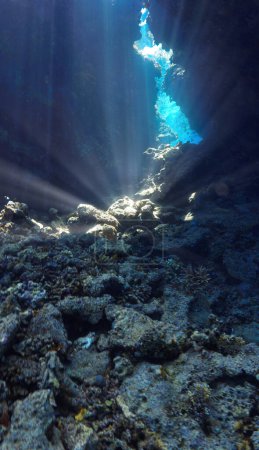 Underwater photo of rays of sunlight inside a cave. 