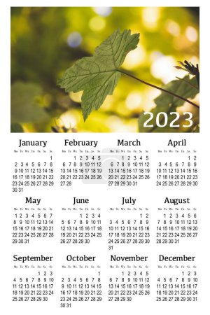 Foto de Calendario botánico para 2023. Calendario de pared vertical, la semana comienza el lunes. - Imagen libre de derechos