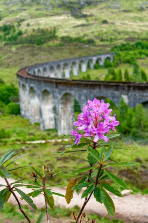 Téléchargez les photos : Écosse, Royaume-Uni. Paysage montagneux. Vue du viaduc ferroviaire. - en image libre de droit