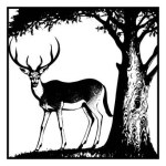 Gazelle. Black and white illustration. Logo design for use in graphics. T-shirt print, tattoo design.