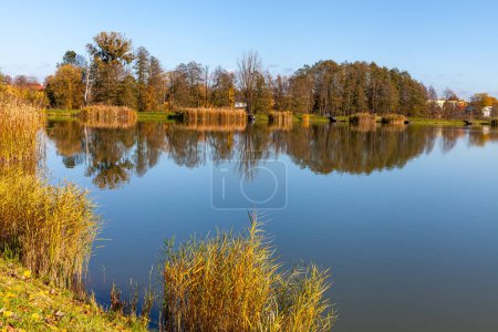 Landschaft auf dem Land am See an einem sonnigen Oktobertag. Ein ruhiger Ort zum Entspannen am Wasser.
