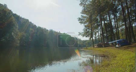 scenic landscape river lake pond in summer green tropical rainforest with sunlight flare in evening and reflection on surface, vacation holiday campsite pine trees, eco nature environment concept