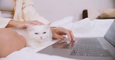 femme travaillant sur ordinateur portable en ligne couché sur le lit dans la chambre avec son chat et caressant animal de compagnie généalogique mignon. Petits meilleurs amis. Animaux domestiques heureux à la maison, concept de travail à domicile