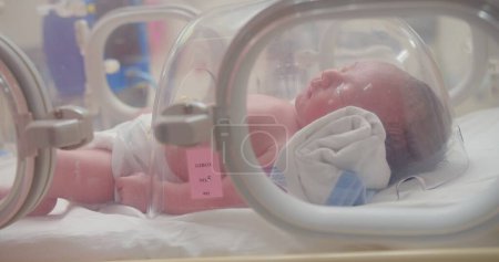Primer plano pequeño bebé recién nacido precioso acostado en incubadoras para recién nacidos, bebé recién nacido que tiene el problema respiratorio después del nacimiento, recién nacido en la UCIN, Unidad de cuidados intensivos neonatales