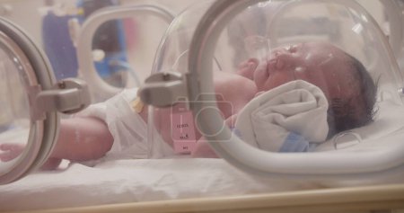 Photo for Closeup little newborn baby infant in incubators for newborns, Newborn baby having the the breathing problem after birth, newborn in NICU, Neonatal intensive care unit, healthcare - Royalty Free Image