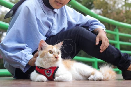 Téléchargez les photos : Portrait extérieur de la femme hijab asiatique tenant et donnant une touche douce au chat, prenant soin de son animal de compagnie dans le parc naturel. Relation amoureuse entre les humains et les animaux. - en image libre de droit