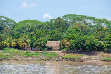 Photo for Iquitos, peru. 10th september, 2022: shanty village at peruvian amazon riverbank - Royalty Free Image