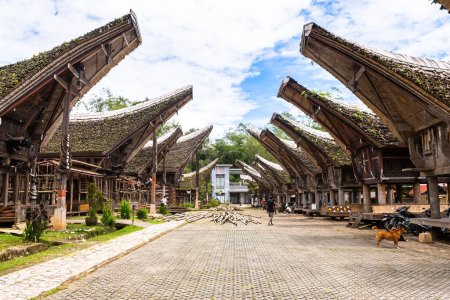 Foto de Rantepao, indonesia. 4 de abril de 2023: casas tradicionales de tana toraja en rantepao, indonesia - Imagen libre de derechos